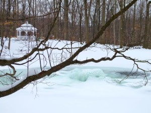 Iceberg in Our Pond