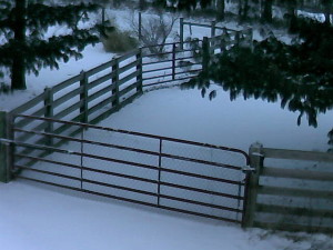 More Snow at Our Farm