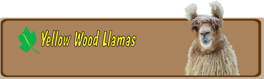 Yellow Wood Llamas, Inc.